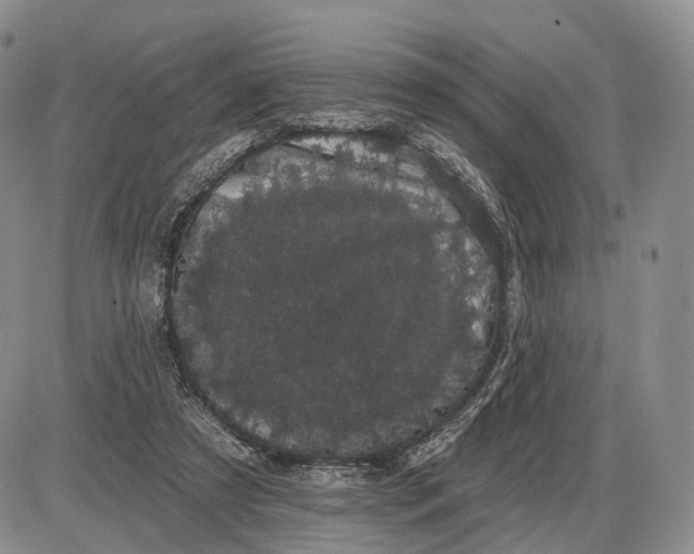 X0000085040305200703191240