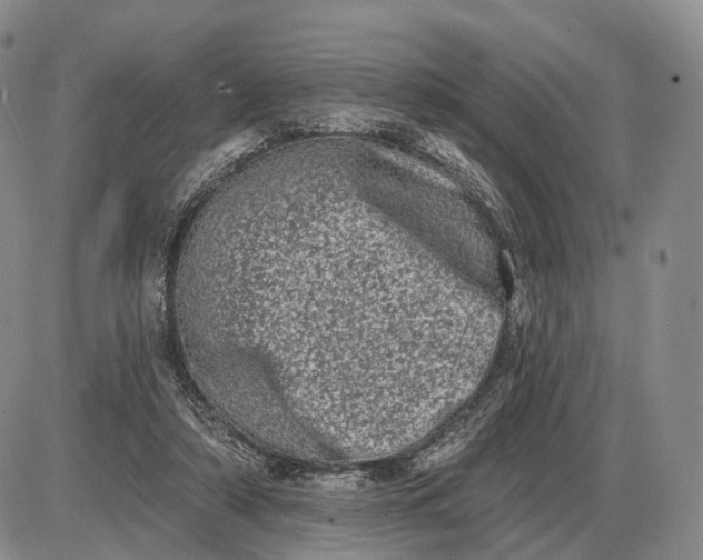 X0000085040306200703191240