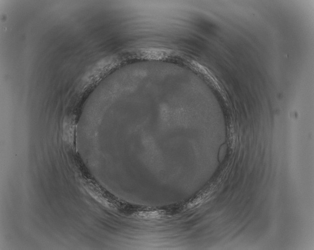 X0000085040307200703191240