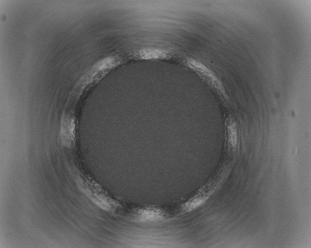 X0000085040308200703191240