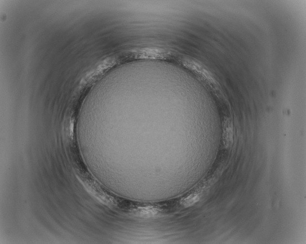 X0000085040310200703191240