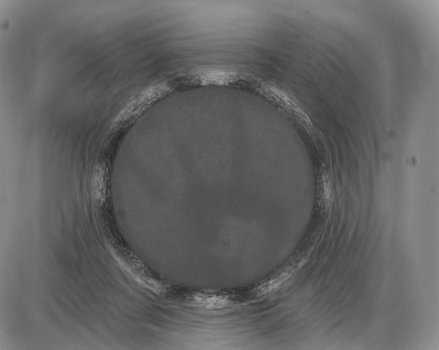 X0000085040311200703191240