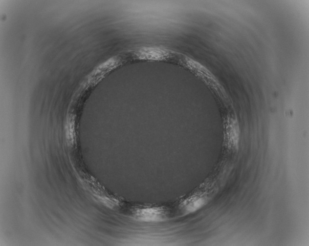 X0000085040312200703191240