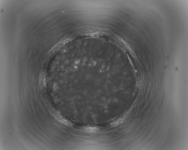 X0000085040313200703191240