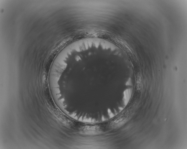 X0000085040314200703191240