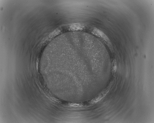 X0000085040315200703191240