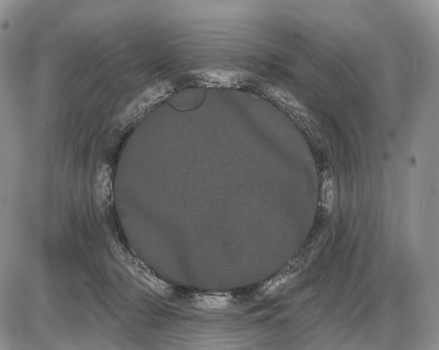 X0000085040318200703191240