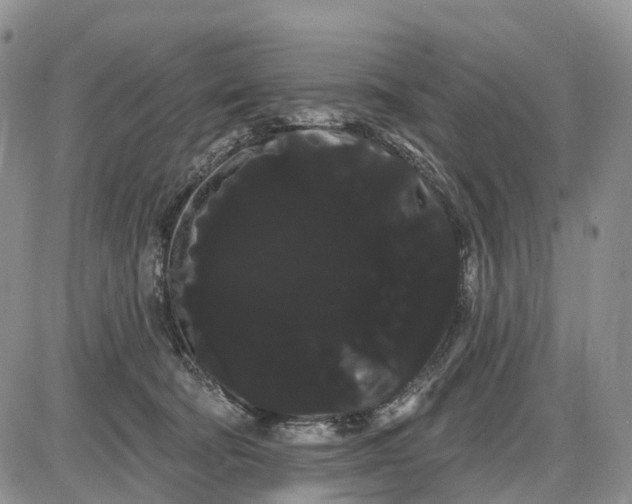 X0000085040322200703191240