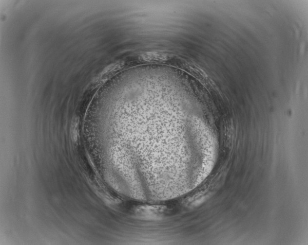 X0000085040323200703191239