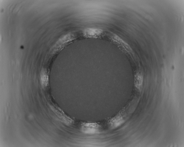 X0000085040324200703191239