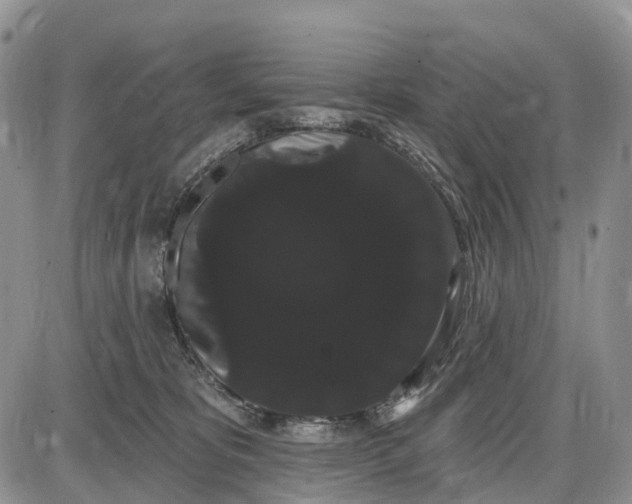 X0000085040325200703191239