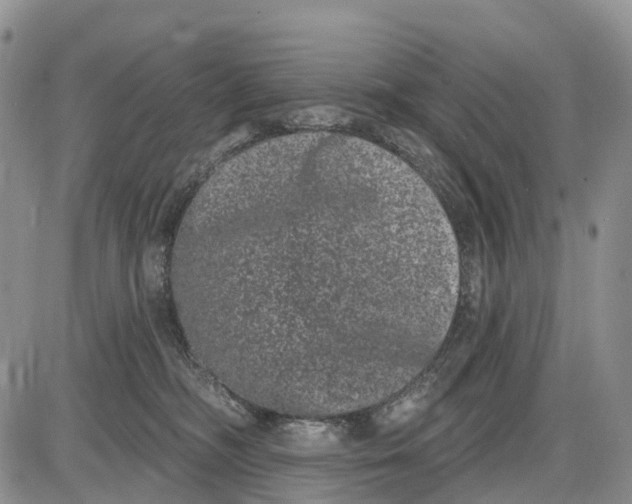 X0000085040326200703191239