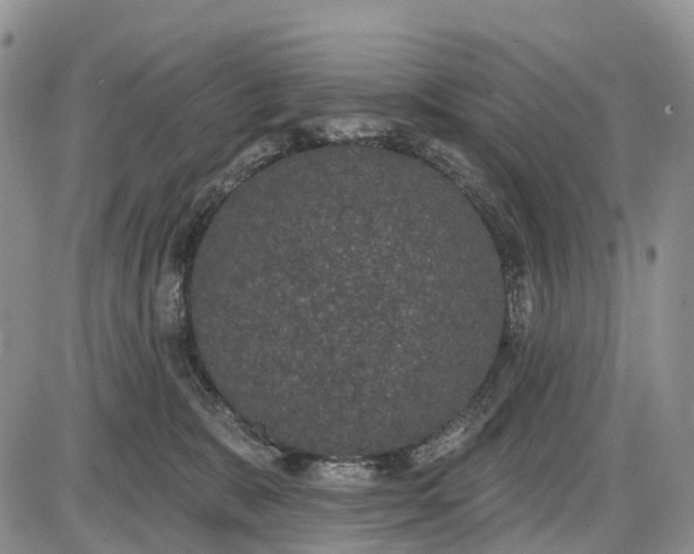 X0000085040327200703191239