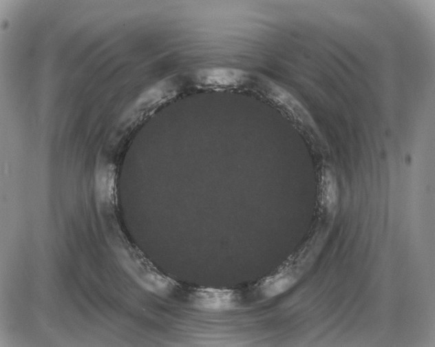 X0000085040328200703191239