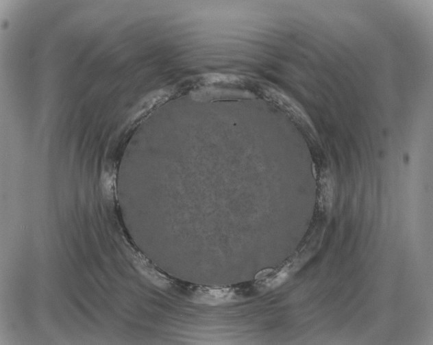 X0000085040329200703191239