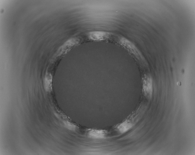 X0000085040332200703191239