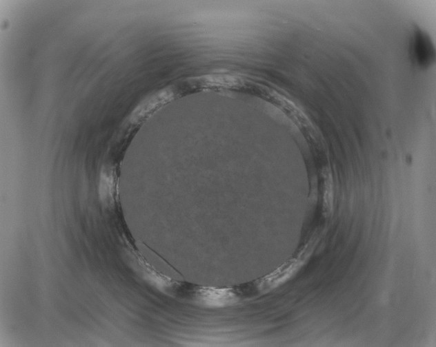 X0000085040333200703191239