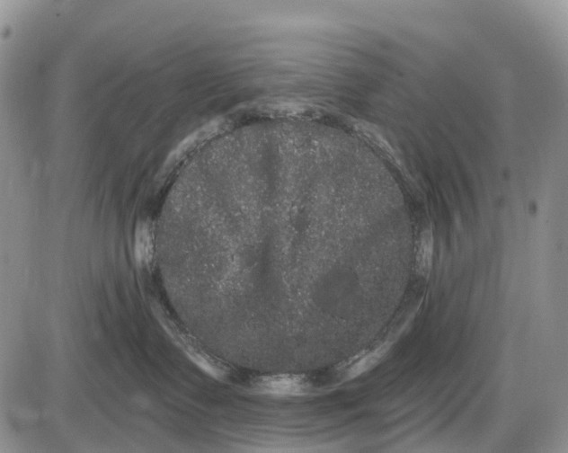 X0000085040335200703191239