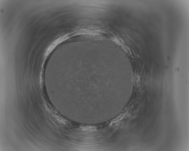 X0000085040340200703191239