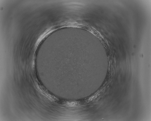 X0000085040344200703191239