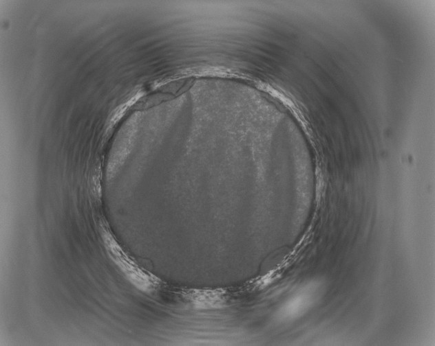 X0000085040345200703191239