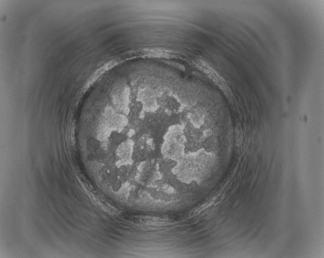 X0000085040347200703191239