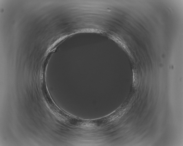 X0000085040348200703191239