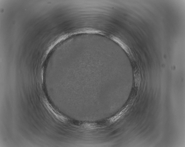 X0000085040350200703191239