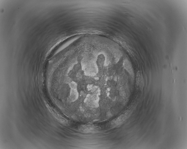 X0000085040351200703191239