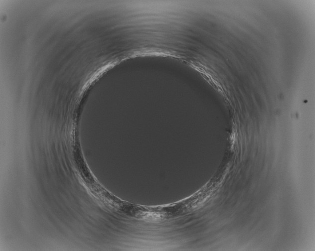 X0000085040352200703191239