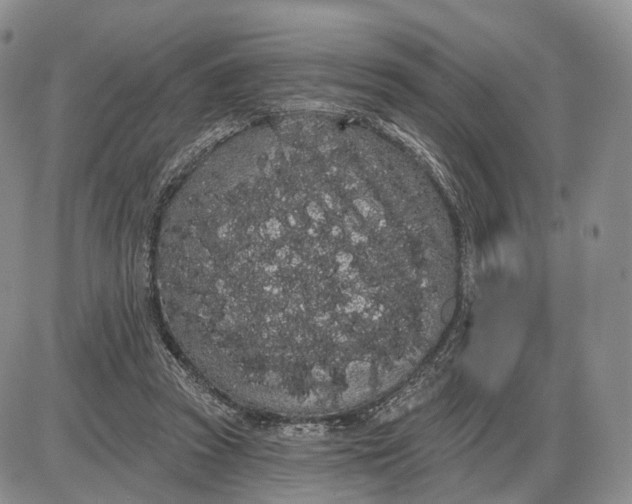 X0000085040353200703191239