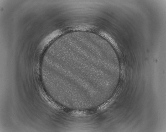 X0000085040354200703191239