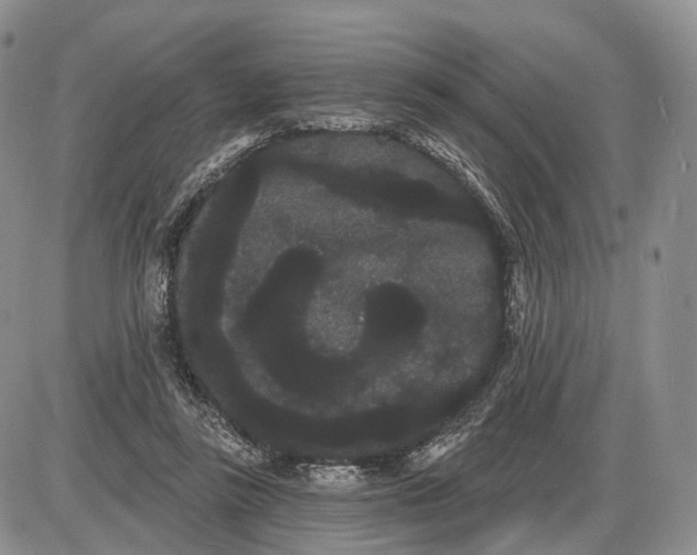 X0000085040355200703191239