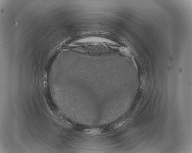 X0000085040356200703191239