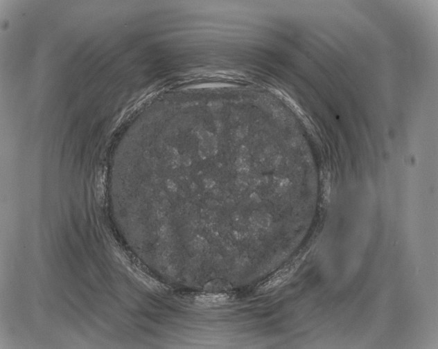 X0000085040357200703191239