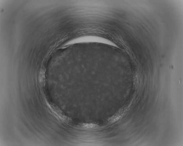 X0000085040360200703191239