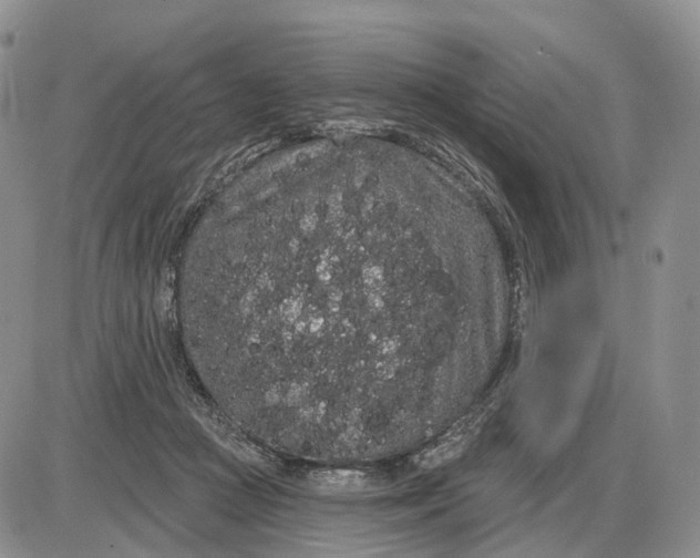 X0000085040361200703191239