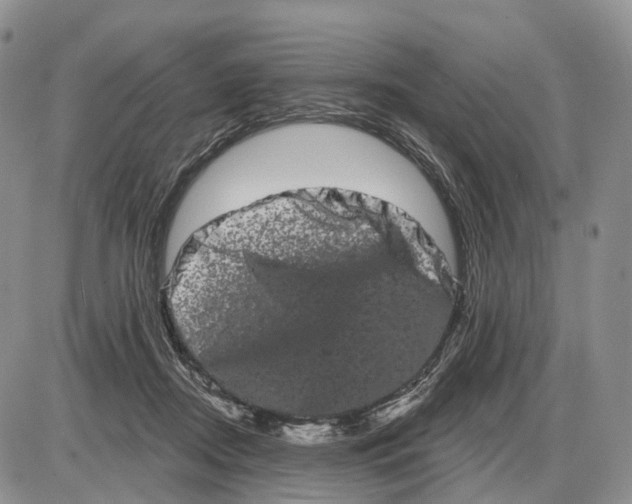 X0000085040362200703191239