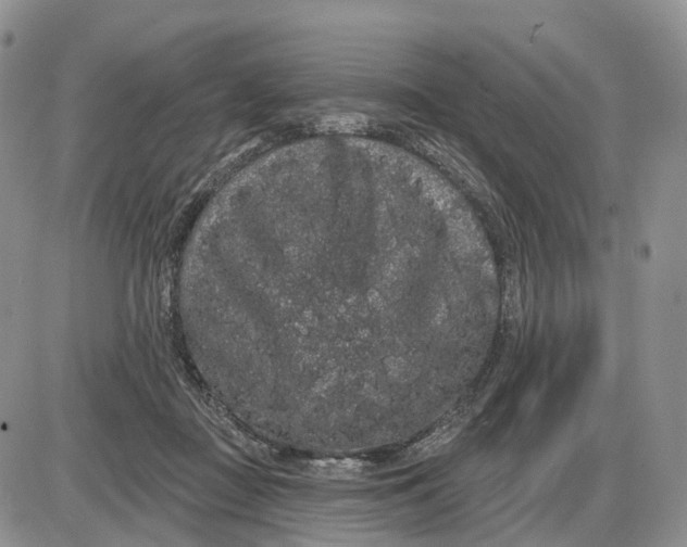 X0000085040363200703191239