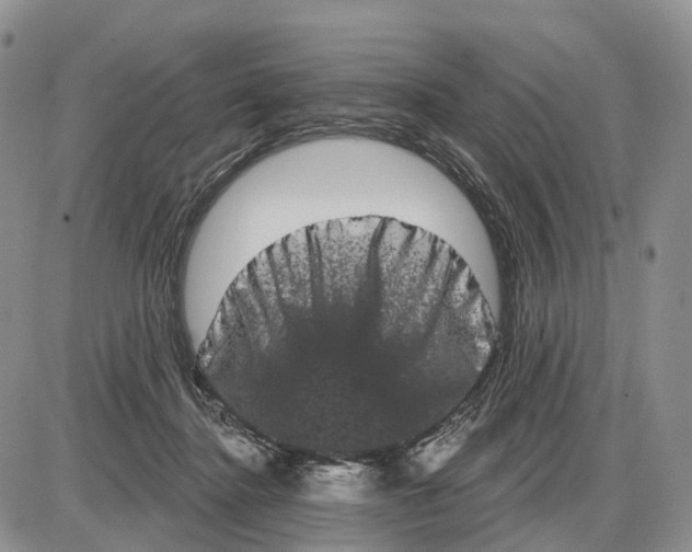 X0000085040364200703191239