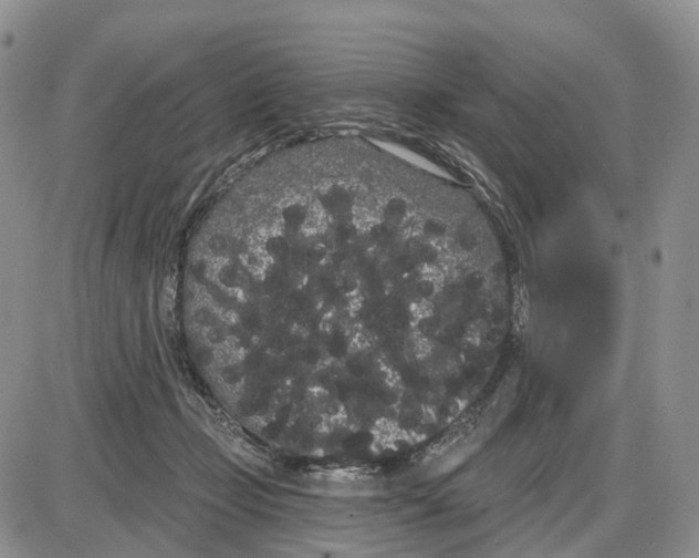 X0000085040365200703191239