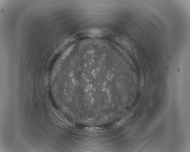 X0000085040367200703191239