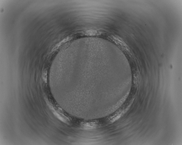 X0000085040368200703191239