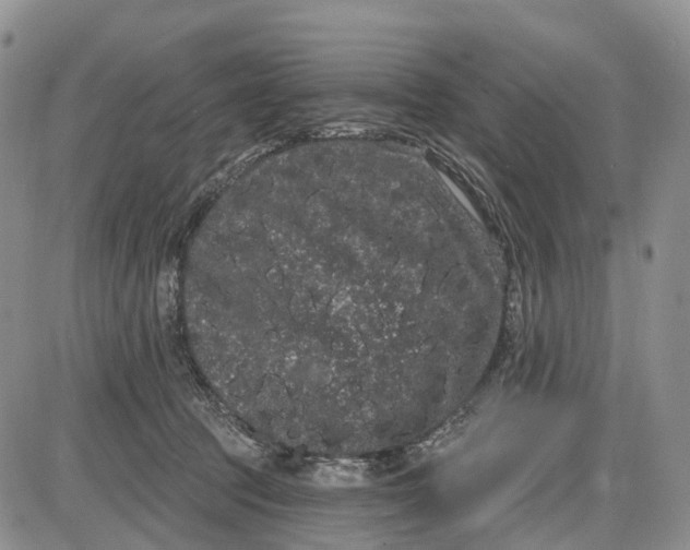 X0000085040369200703191239