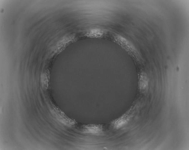 X0000085040370200703191239