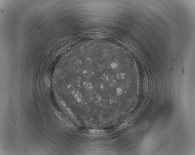 X0000085040371200703191239