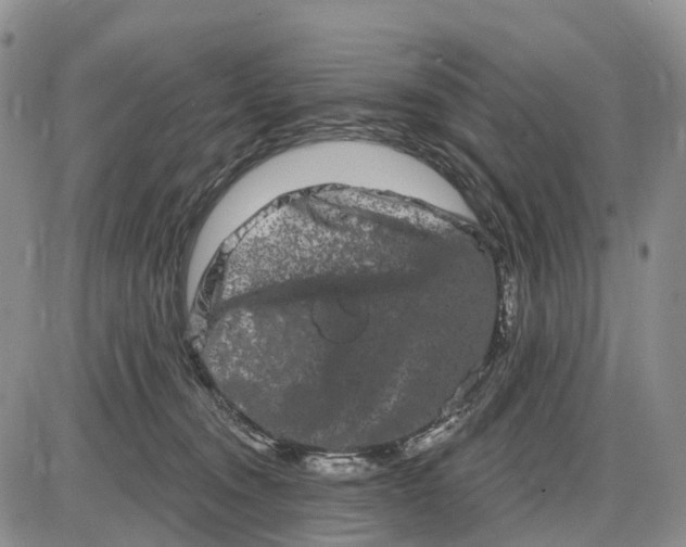 X0000085040372200703191239