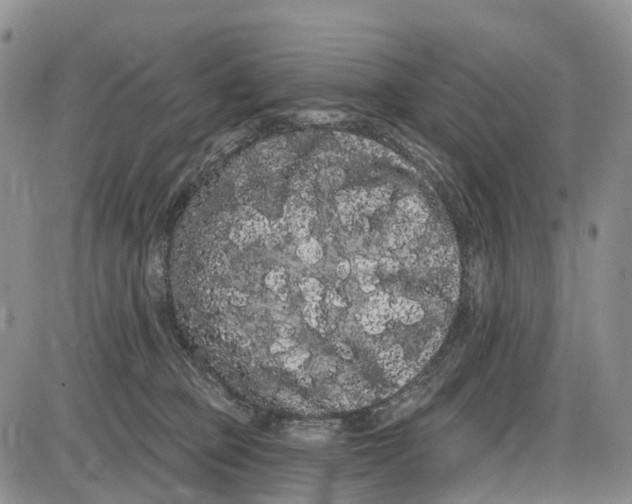 X0000085040373200703191239