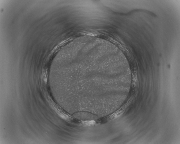 X0000085040374200703191239