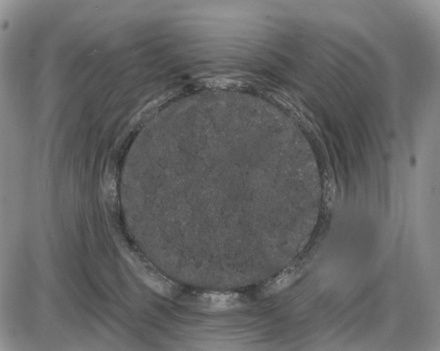 X0000085040375200703191239